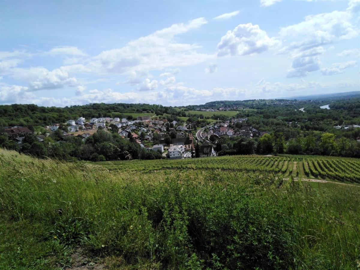 Ferienwohnung Wisser- Fernblick 巴特贝林根 外观 照片
